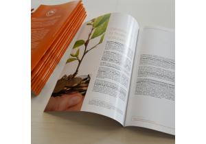 brochure-A5-eco-design-impression-personnalise-lausanne